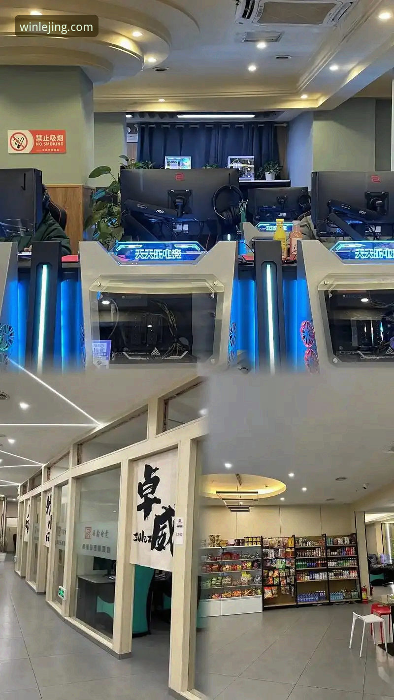 乐竟体育平台官网地址使用指南详解